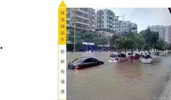 新闻爆料水淹路话题,紧急应对与反思 第1张 新闻爆料水淹路话题,紧急应对与反思 第1张